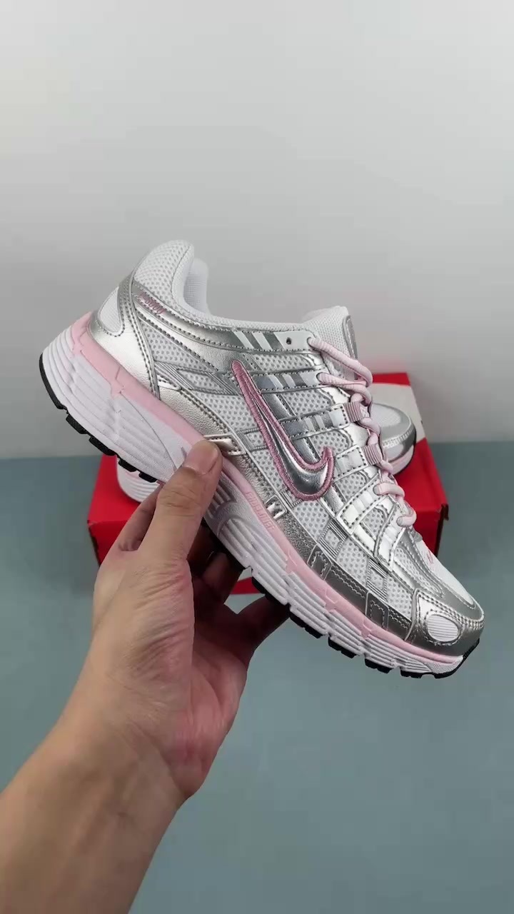 D Authentic Label Company Level Nike P-6000 Nike Retro Running Shoes BV1021-108