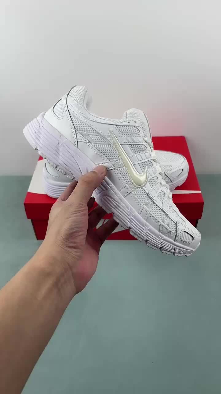 D Authentic Label Company Level Nike P-6000 Nike Retro Running Shoes CD6404-100