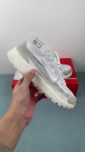 D Authentic Label Company Level Nike P-6000 Nike Retro Running Shoes CV2209-111