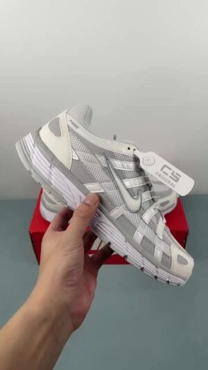 D Authentic Label Company Level Nike P-6000 Nike Retro Running Shoes FV6603-101