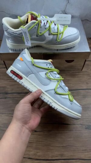 D30 F Authentic Label Company Level Dunk Low Low Top Casual Skate Shoes DM1602-122