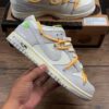 D39 E Authentic Label Company Level Dunk Low Low Top Casual Skate Shoes DJ0950-109