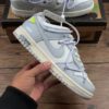 D49 D Authentic Label Company Level Dunk Low Low Top Casual Skate Shoes DJ0950-123